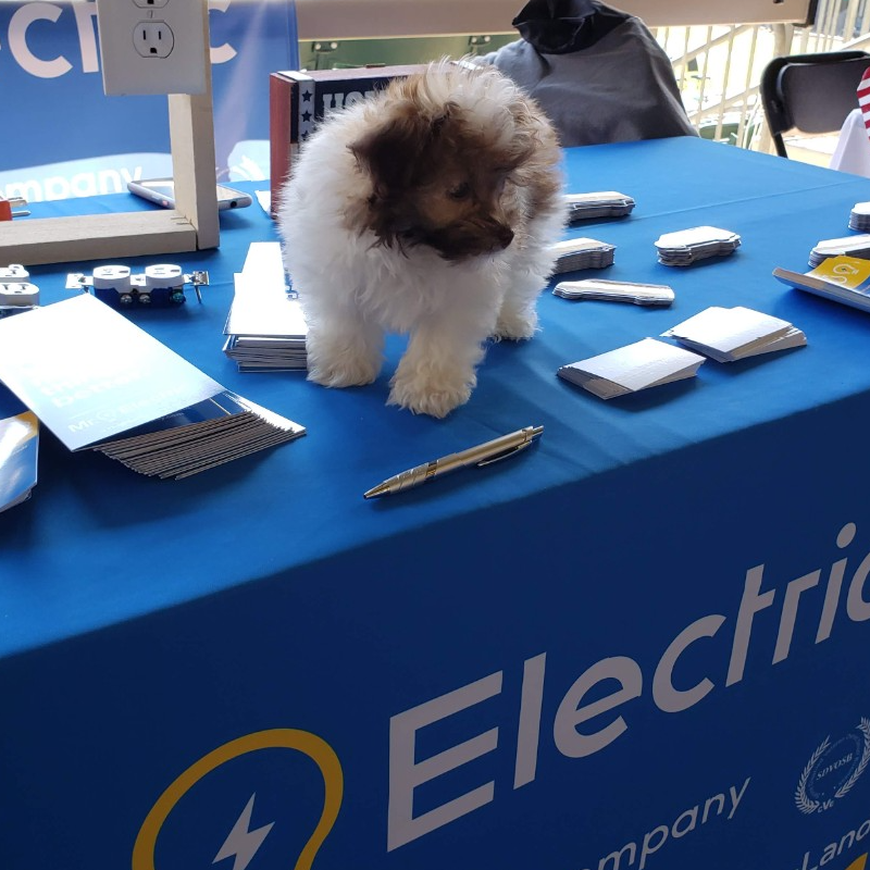 Puppy Electric